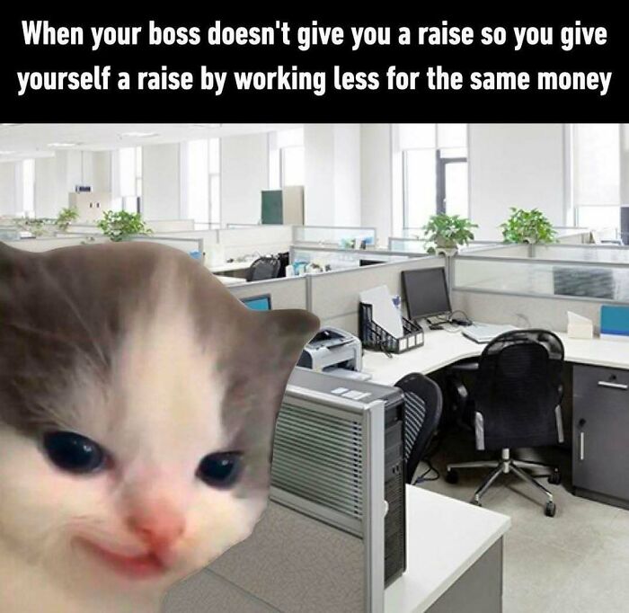 85 Funny Memes To Give Your Brain A Well-Deserved Mini Vacation