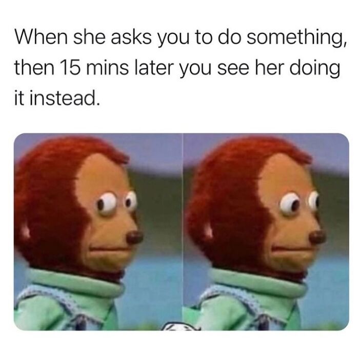85 Funny Memes To Give Your Brain A Well-Deserved Mini Vacation