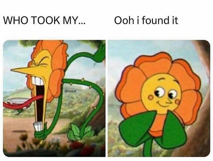 85 Funny Memes To Give Your Brain A Well-Deserved Mini Vacation