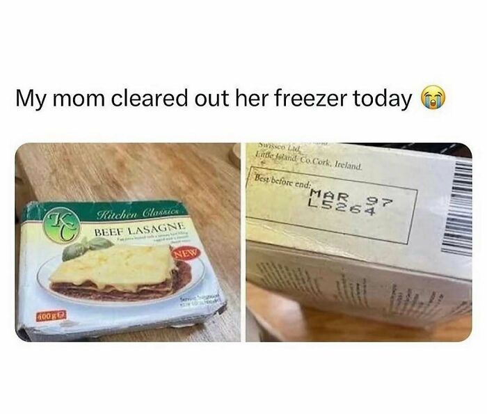 85 Funny Memes To Give Your Brain A Well-Deserved Mini Vacation