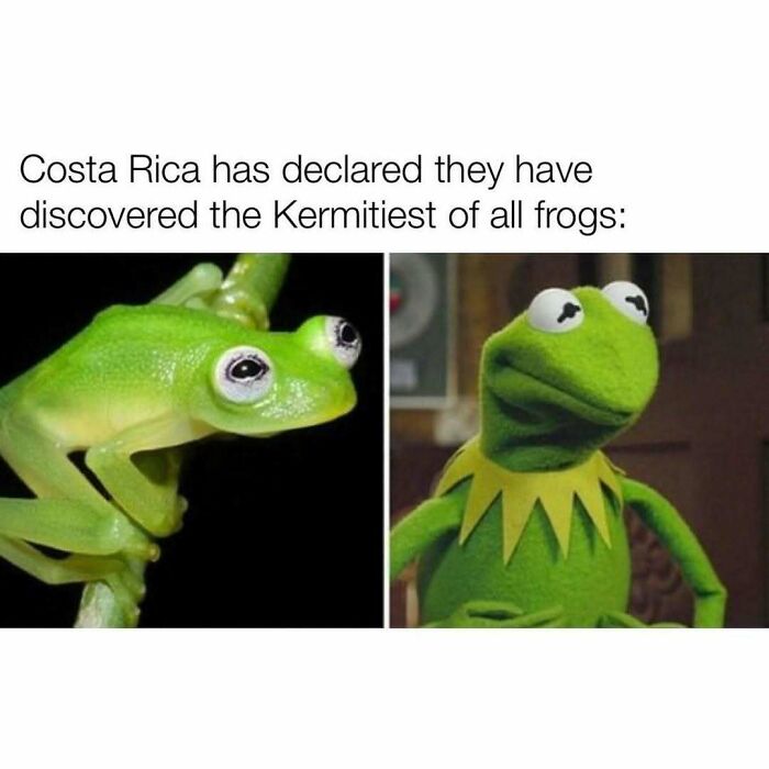 85 Funny Memes To Give Your Brain A Well-Deserved Mini Vacation