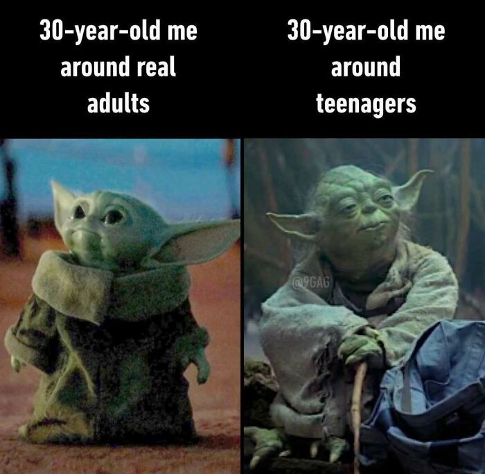 85 Funny Memes To Give Your Brain A Well-Deserved Mini Vacation
