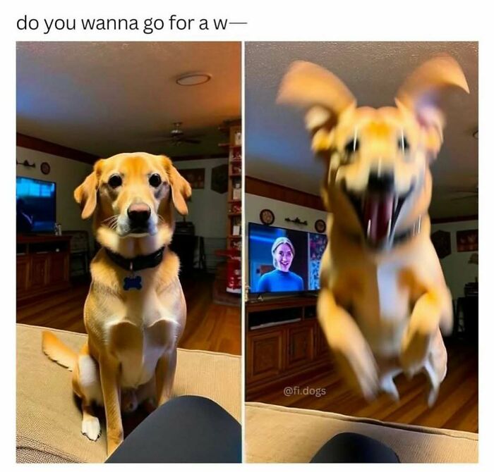 85 Funny Memes To Give Your Brain A Well-Deserved Mini Vacation