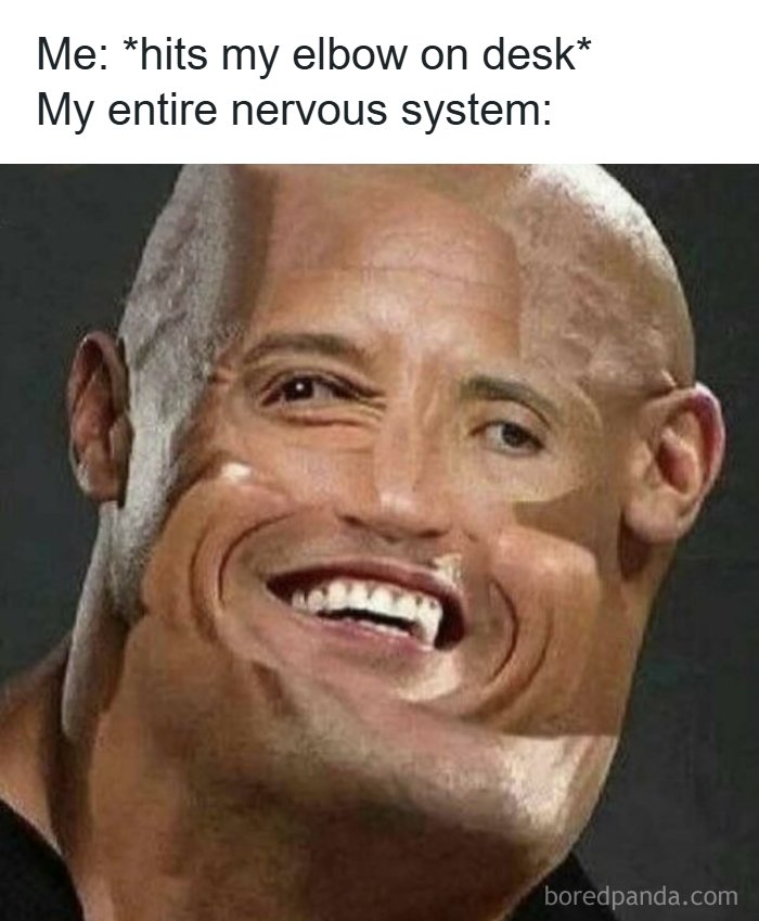 If You Use Memes To Escape Reality, Here Are 83 That Are Just Perfect For This