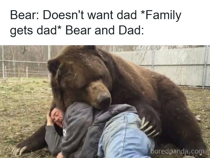 If You Use Memes To Escape Reality, Here Are 83 That Are Just Perfect For This
