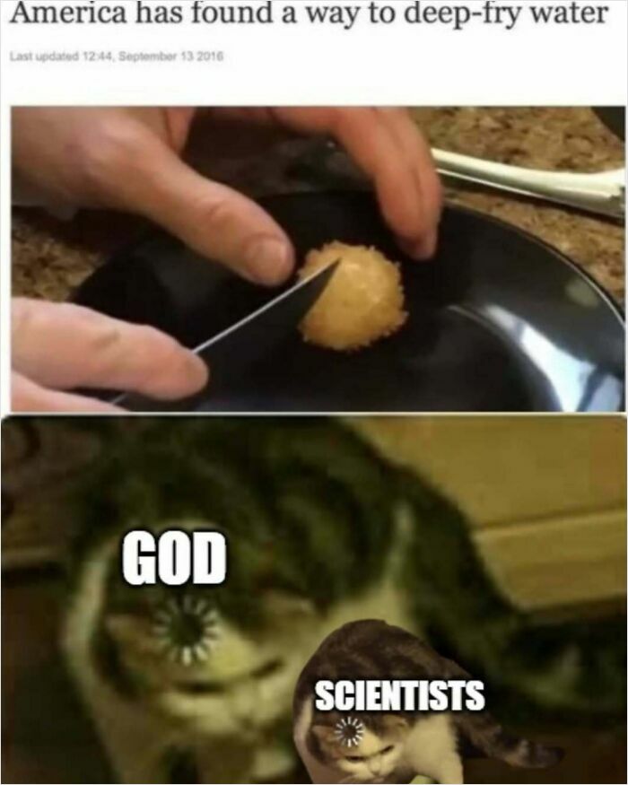 If You Use Memes To Escape Reality, Here Are 83 That Are Just Perfect For This
