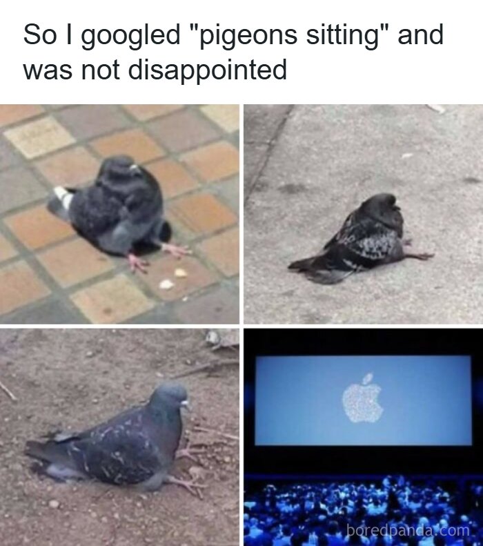 If You Use Memes To Escape Reality, Here Are 83 That Are Just Perfect For This