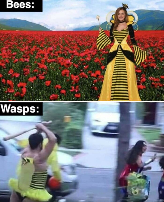 If You Use Memes To Escape Reality, Here Are 83 That Are Just Perfect For This
