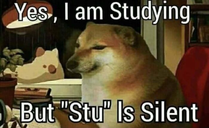 If You Use Memes To Escape Reality, Here Are 83 That Are Just Perfect For This