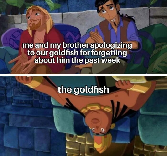 If You Use Memes To Escape Reality, Here Are 83 That Are Just Perfect For This