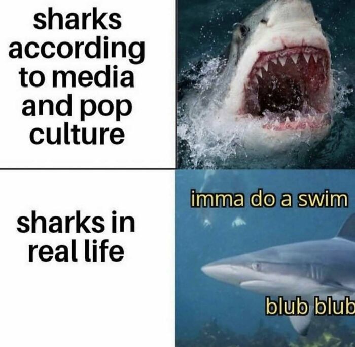 If You Use Memes To Escape Reality, Here Are 83 That Are Just Perfect For This