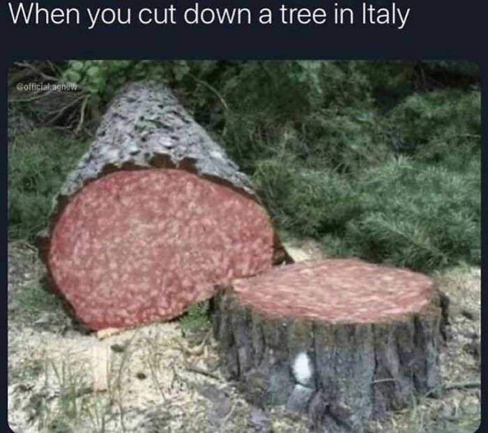 If You Use Memes To Escape Reality, Here Are 83 That Are Just Perfect For This