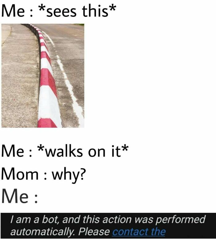 If You Use Memes To Escape Reality, Here Are 83 That Are Just Perfect For This