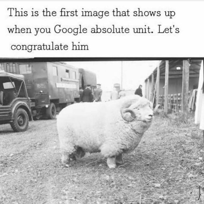 If You Use Memes To Escape Reality, Here Are 83 That Are Just Perfect For This