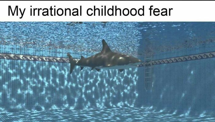 If You Use Memes To Escape Reality, Here Are 83 That Are Just Perfect For This