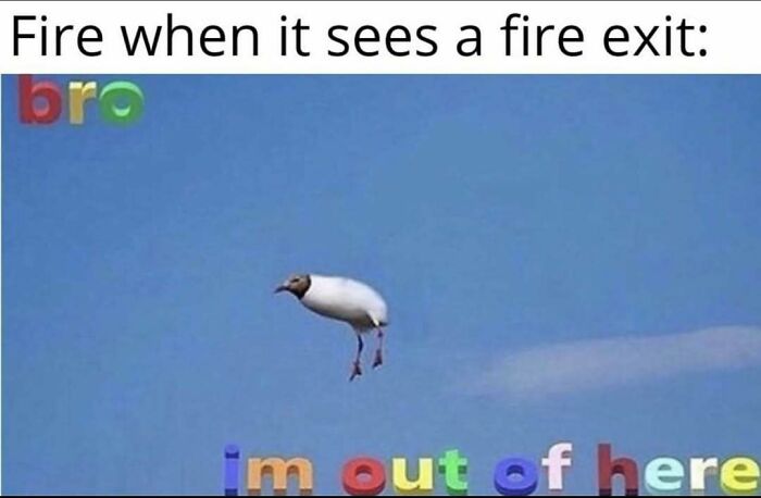 If You Use Memes To Escape Reality, Here Are 83 That Are Just Perfect For This