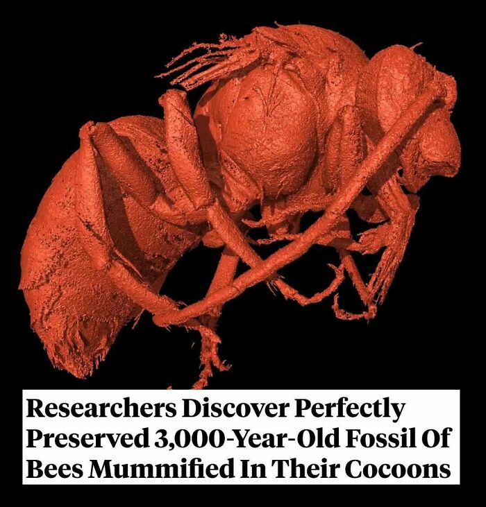 77 Fascinating History Facts And Pics To Leave You Intrigued And Fascinated