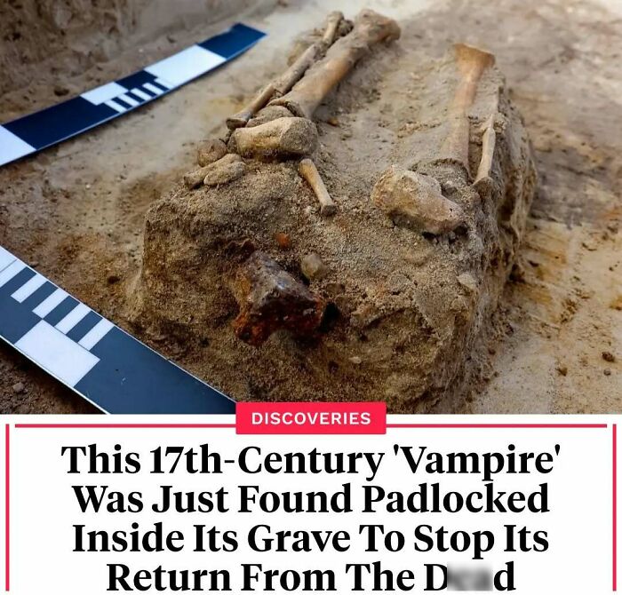 77 Fascinating History Facts And Pics To Leave You Intrigued And Fascinated
