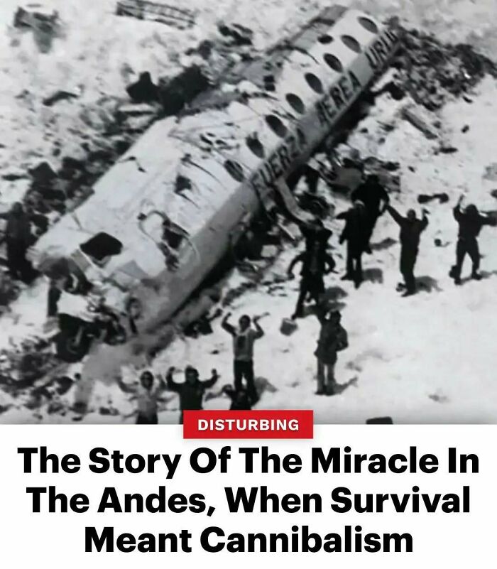 77 Fascinating History Facts And Pics To Leave You Intrigued And Fascinated