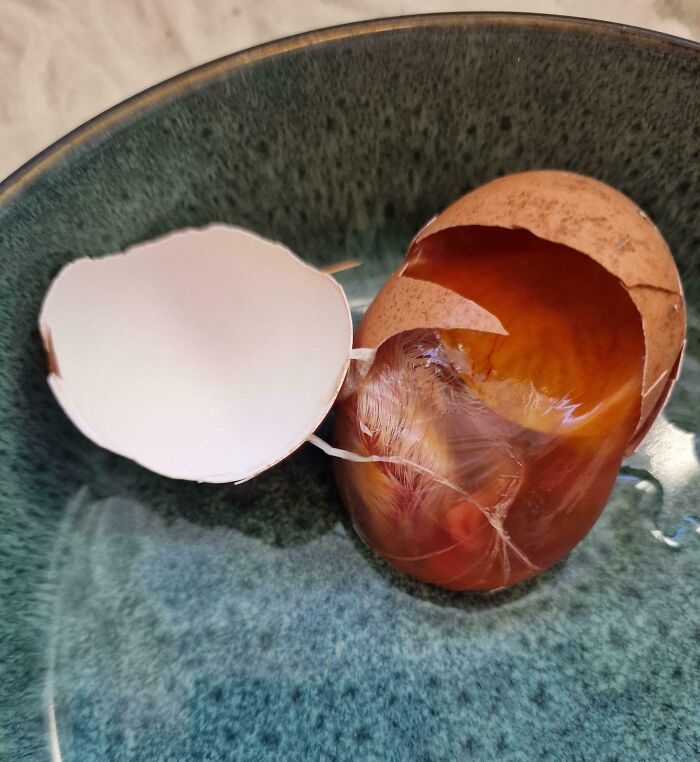 &ldquo;Wife Hasn&rsquo;t Eaten Eggs Since&rdquo;: 83 Oddly Terrifying Images That Are Not For The Weak (New Pics)