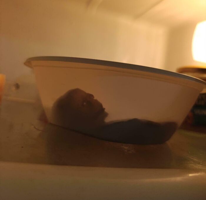 &ldquo;Wife Hasn&rsquo;t Eaten Eggs Since&rdquo;: 83 Oddly Terrifying Images That Are Not For The Weak (New Pics)