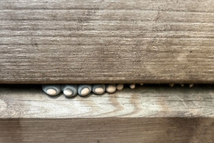 &ldquo;Wife Hasn&rsquo;t Eaten Eggs Since&rdquo;: 83 Oddly Terrifying Images That Are Not For The Weak (New Pics)