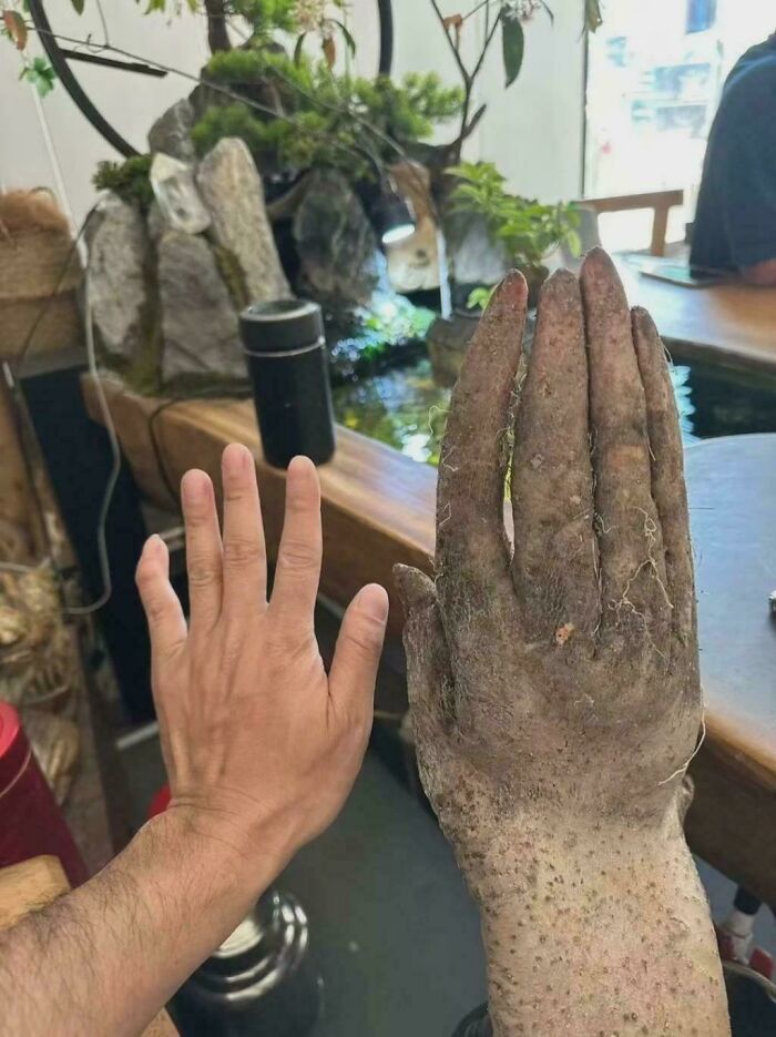 &ldquo;Wife Hasn&rsquo;t Eaten Eggs Since&rdquo;: 83 Oddly Terrifying Images That Are Not For The Weak (New Pics)