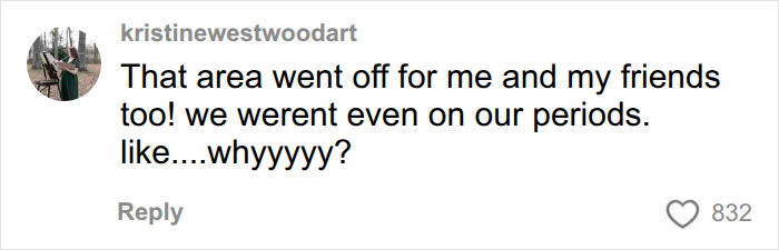 Woman Gets Pulled Aside By Airport Security After Scanner Flags Something She Never Expected Woman Gets Pulled Aside By Airport Security After Scanner Flags Something She Never Expected