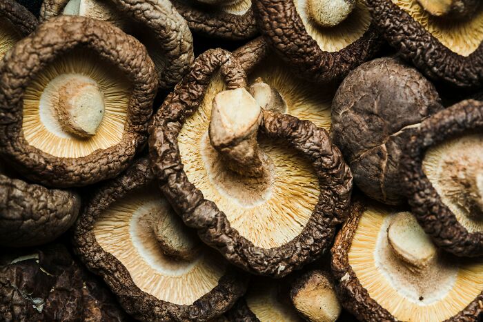 60 Food Facts That Sound Fake But Are Absolutely Real 60 Food Facts That Sound Fake But Are Absolutely Real