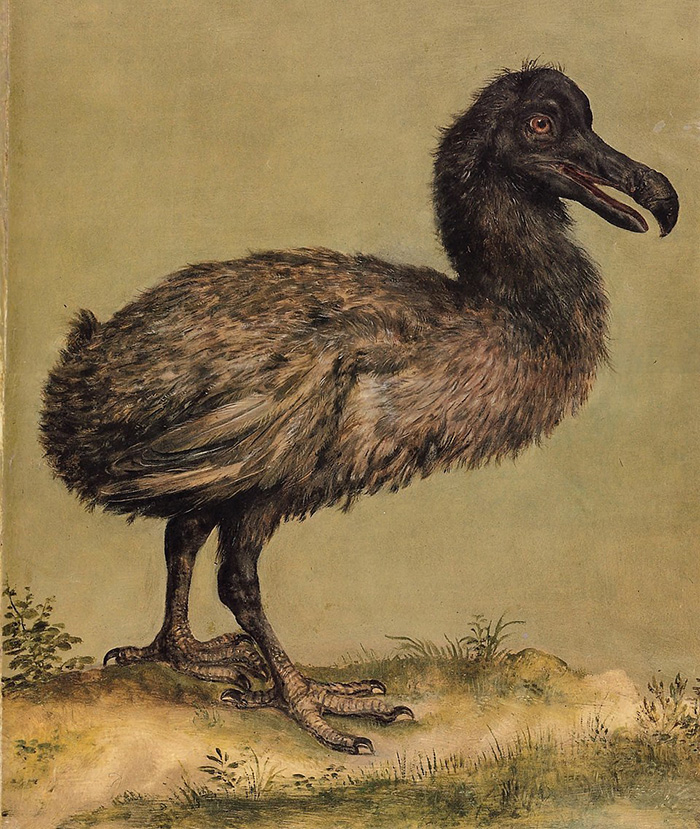 Company Hoping To Revive Extinct Animals By Cloning Them Successfully Creates The Artificial Egg Needed To Do So