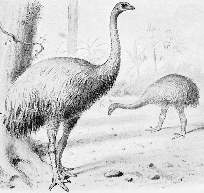 Company Hoping To Revive Extinct Animals By Cloning Them Successfully Creates The Artificial Egg Needed To Do So