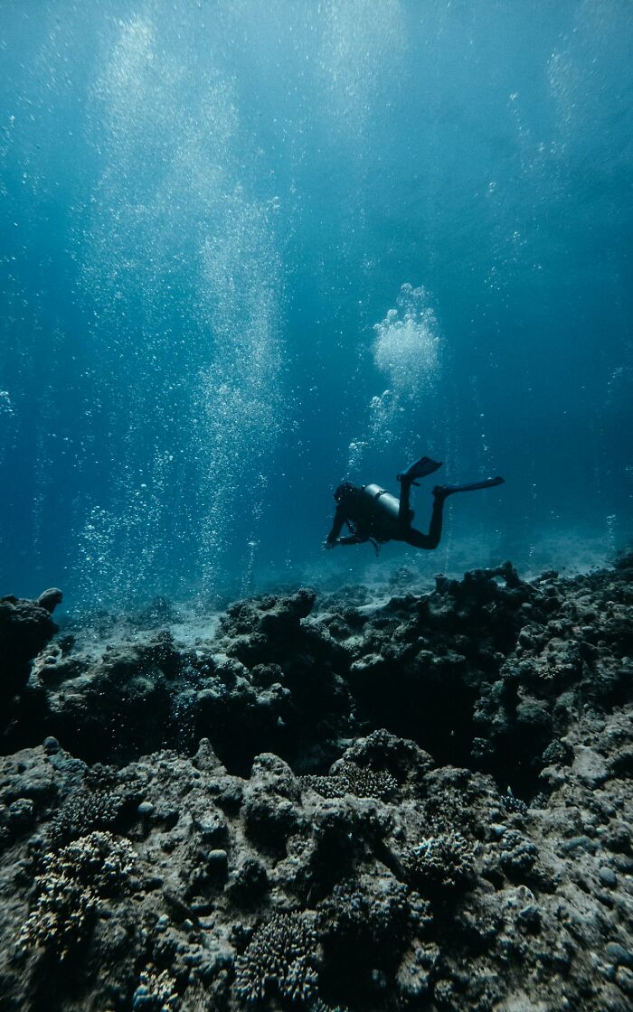 &ldquo;The Grim Reaper&rdquo;: 49 Diving Stories That Sound Like Scenes From A Horror Movie