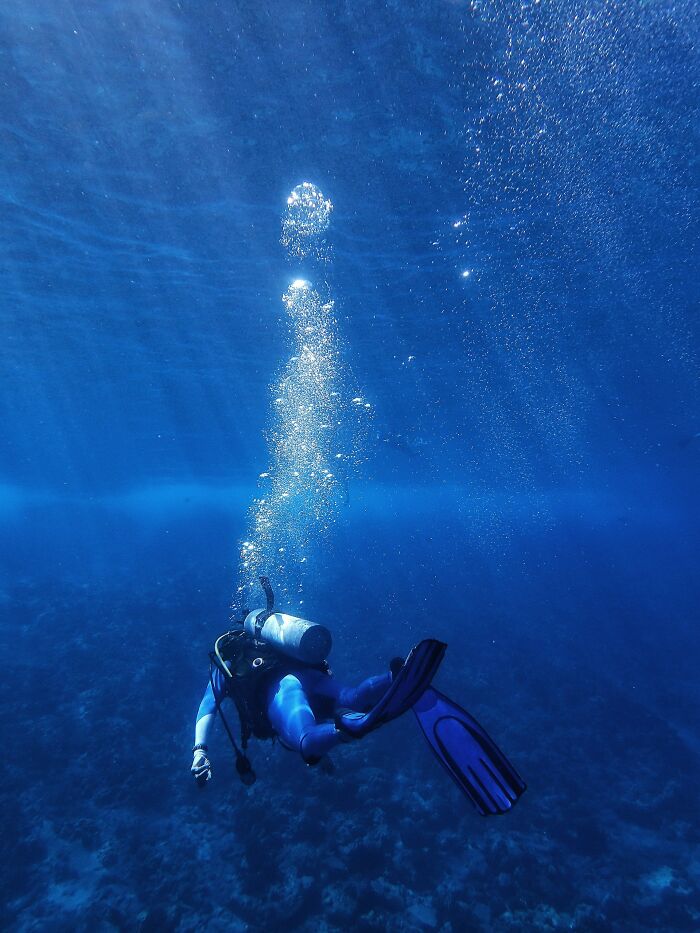 &ldquo;The Grim Reaper&rdquo;: 49 Diving Stories That Sound Like Scenes From A Horror Movie