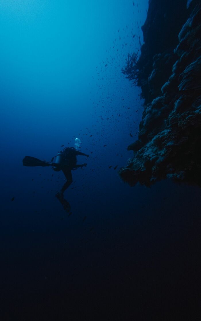 &ldquo;The Grim Reaper&rdquo;: 49 Diving Stories That Sound Like Scenes From A Horror Movie