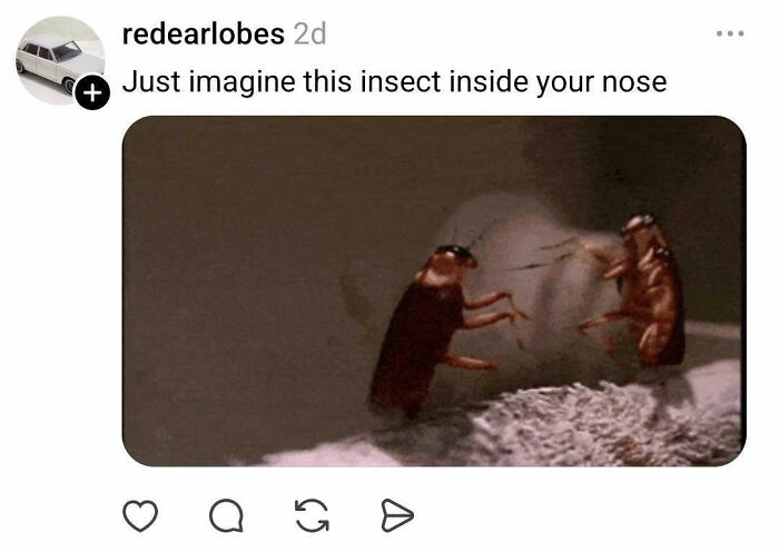 26 People Joined A Discussion About Nostrils, And Things Got Hilariously Weird Fast 26 People Joined A Discussion About Nostrils, And Things Got Hilariously Weird Fast