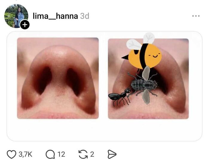 26 People Joined A Discussion About Nostrils, And Things Got Hilariously Weird Fast 26 People Joined A Discussion About Nostrils, And Things Got Hilariously Weird Fast