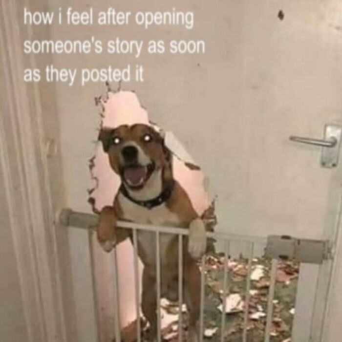 71 Cheerfully Pessimistic Memes To Laugh Through The Pain 71 Cheerfully Pessimistic Memes To Laugh Through The Pain