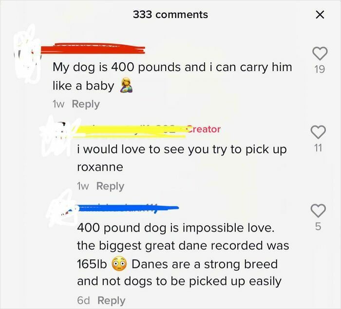 “Hippo Crisps”: 47 Wild TikTok Screenshots That Cost Readers Several Brain Cells (New Pics) “Hippo Crisps”: 47 Wild TikTok Screenshots That Cost Readers Several Brain Cells (New Pics)