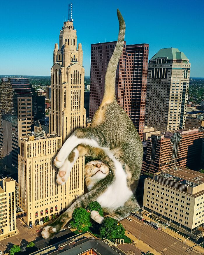 Artist Imagines Surreal Parallel Universe Where Giant Cats Reign, And Here Are 30 New Pieces Artist Imagines Surreal Parallel Universe Where Giant Cats Reign, And Here Are 30 New Pieces