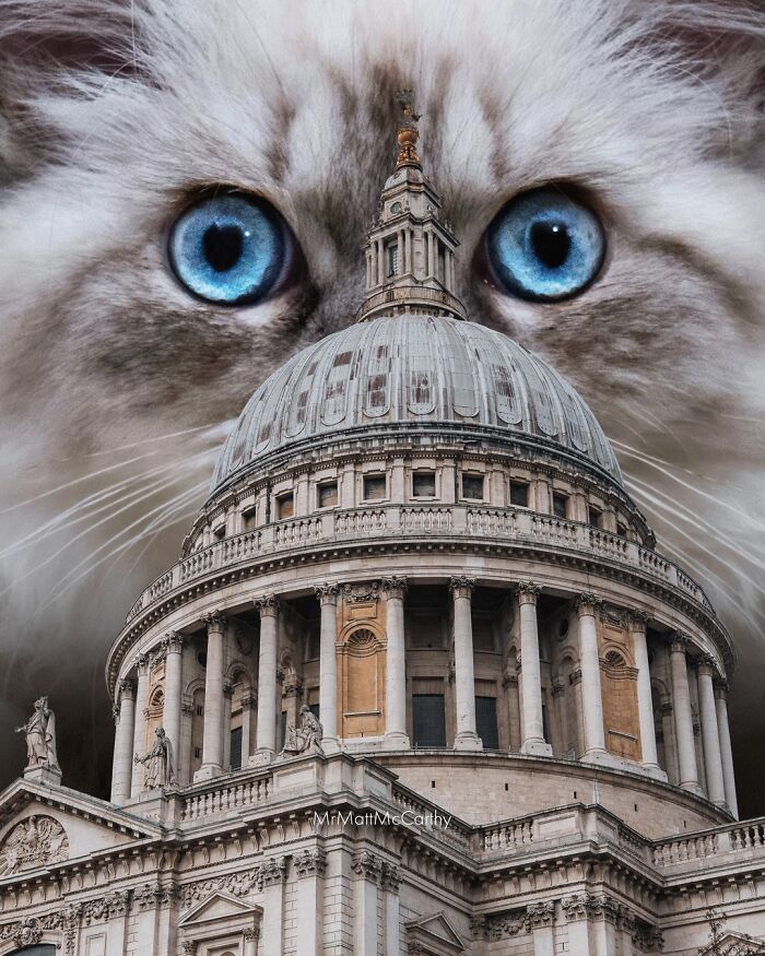 Artist Imagines Surreal Parallel Universe Where Giant Cats Reign, And Here Are 30 New Pieces Artist Imagines Surreal Parallel Universe Where Giant Cats Reign, And Here Are 30 New Pieces