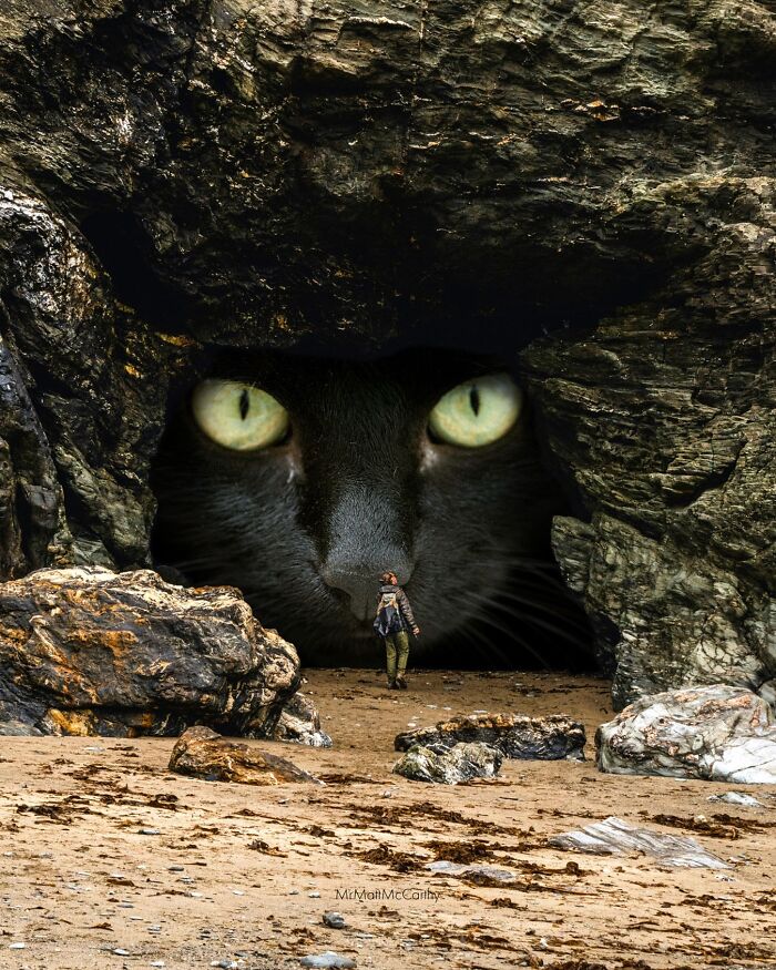 Artist Imagines Surreal Parallel Universe Where Giant Cats Reign, And Here Are 30 New Pieces Artist Imagines Surreal Parallel Universe Where Giant Cats Reign, And Here Are 30 New Pieces