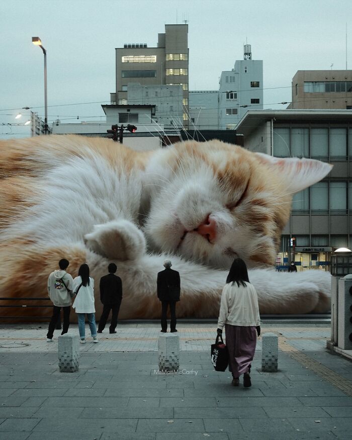 Artist Imagines Surreal Parallel Universe Where Giant Cats Reign, And Here Are 30 New Pieces Artist Imagines Surreal Parallel Universe Where Giant Cats Reign, And Here Are 30 New Pieces