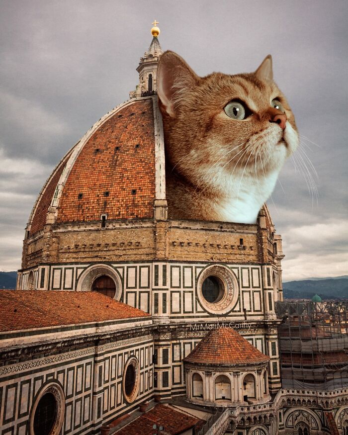Artist Imagines Surreal Parallel Universe Where Giant Cats Reign, And Here Are 30 New Pieces Artist Imagines Surreal Parallel Universe Where Giant Cats Reign, And Here Are 30 New Pieces