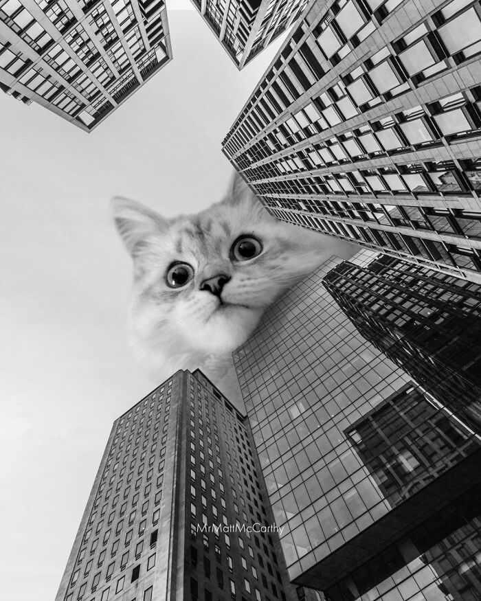 Artist Imagines Surreal Parallel Universe Where Giant Cats Reign, And Here Are 30 New Pieces Artist Imagines Surreal Parallel Universe Where Giant Cats Reign, And Here Are 30 New Pieces