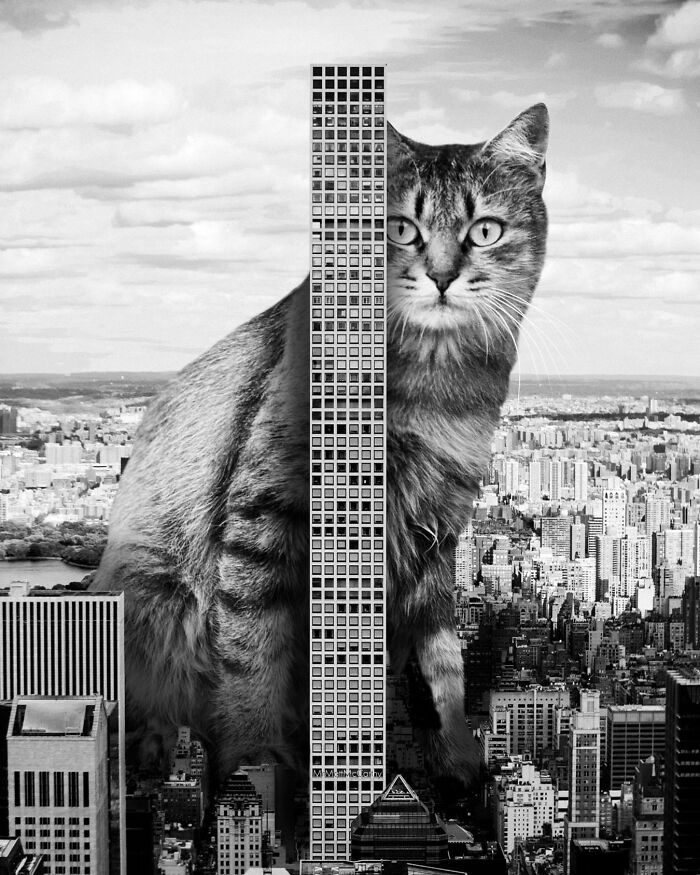 Artist Imagines Surreal Parallel Universe Where Giant Cats Reign, And Here Are 30 New Pieces Artist Imagines Surreal Parallel Universe Where Giant Cats Reign, And Here Are 30 New Pieces