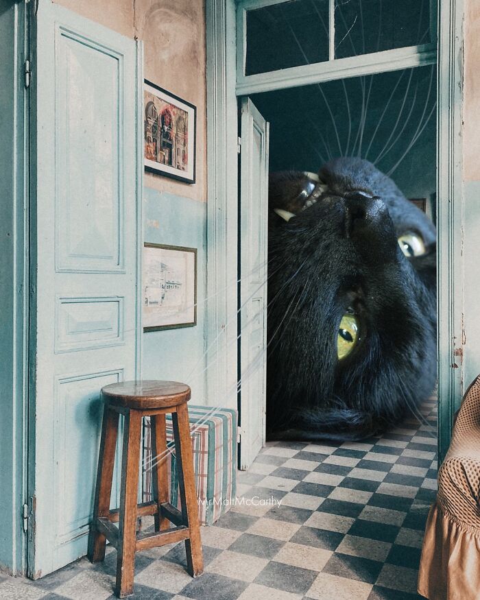 Artist Imagines Surreal Parallel Universe Where Giant Cats Reign, And Here Are 30 New Pieces Artist Imagines Surreal Parallel Universe Where Giant Cats Reign, And Here Are 30 New Pieces