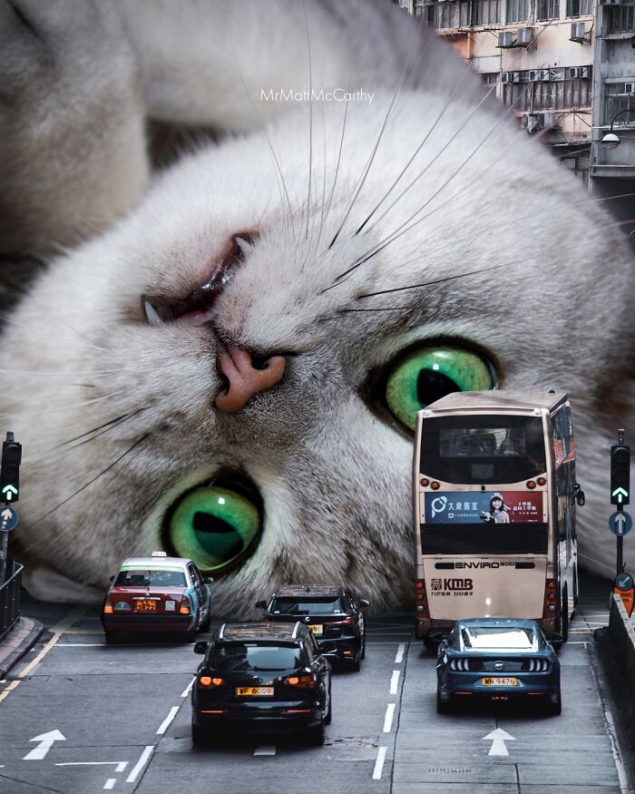 Artist Imagines Surreal Parallel Universe Where Giant Cats Reign, And Here Are 30 New Pieces Artist Imagines Surreal Parallel Universe Where Giant Cats Reign, And Here Are 30 New Pieces