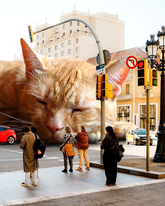 Artist Imagines Surreal Parallel Universe Where Giant Cats Reign, And Here Are 30 New Pieces Artist Imagines Surreal Parallel Universe Where Giant Cats Reign, And Here Are 30 New Pieces