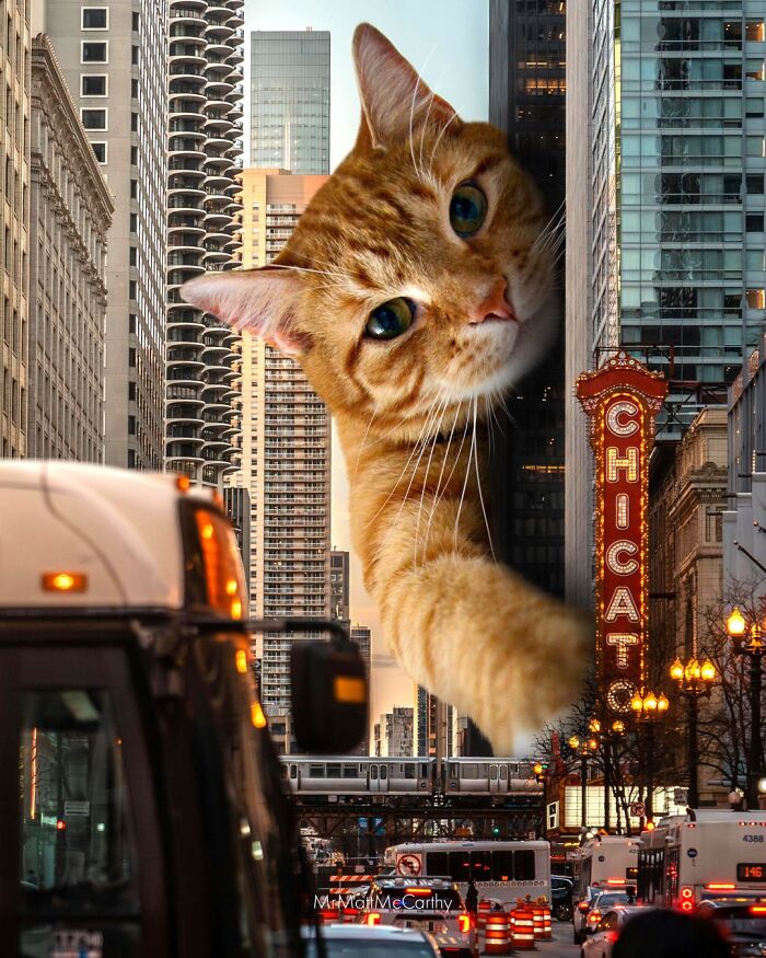 Artist Imagines Surreal Parallel Universe Where Giant Cats Reign, And Here Are 30 New Pieces Artist Imagines Surreal Parallel Universe Where Giant Cats Reign, And Here Are 30 New Pieces