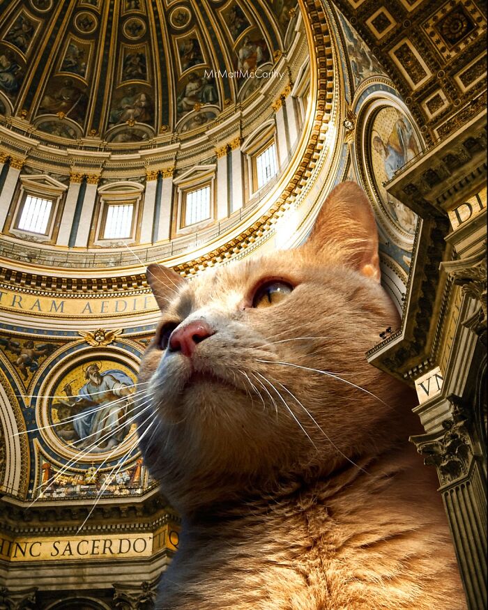 Artist Imagines Surreal Parallel Universe Where Giant Cats Reign, And Here Are 30 New Pieces Artist Imagines Surreal Parallel Universe Where Giant Cats Reign, And Here Are 30 New Pieces